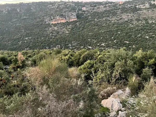 Land for Sale in Haqel, Lebanon