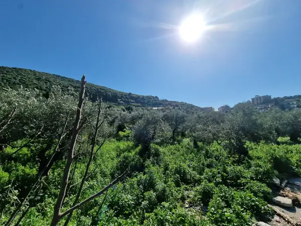 Land for Sale in Batroun, Lebanon