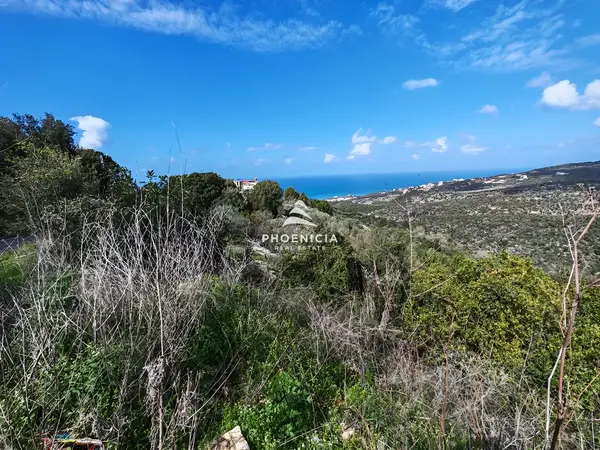 Land for Sale in Chikhane