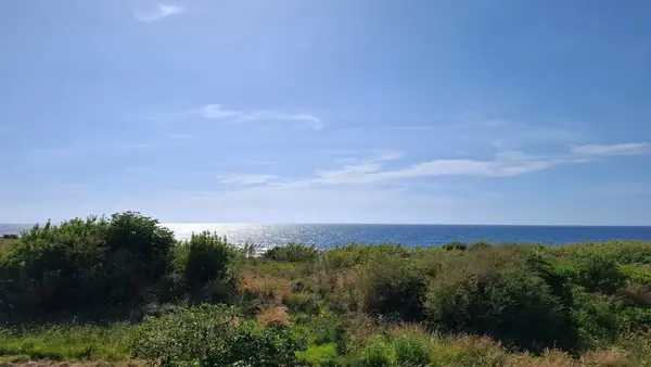 Land for Sale in Berbara, Lebanon
