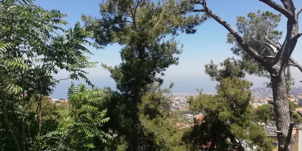 Land for Sale in Roumieh, Lebanon