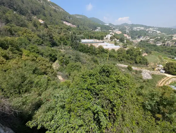 Land for Sale in Bchelli