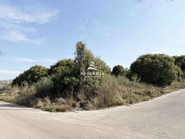 Land for Sale in Edde