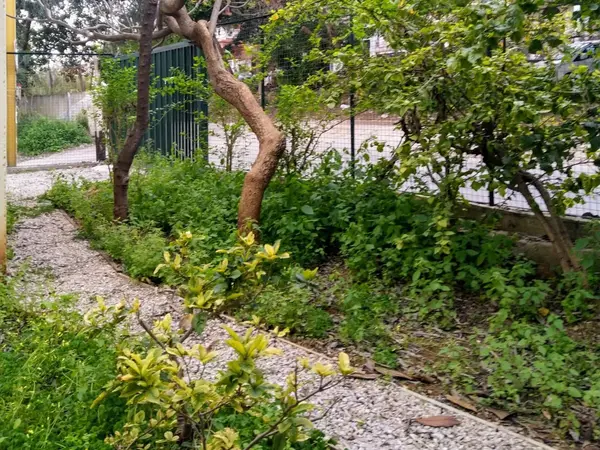 Land for Sale in Mar Mikhael, Bayrut, Lebanon