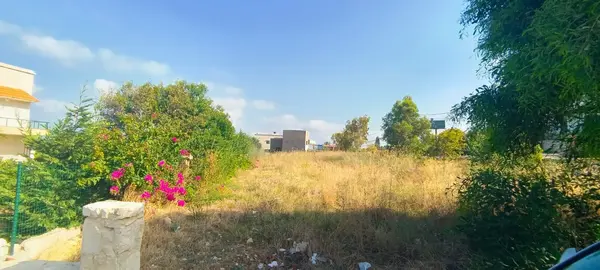 Land for Rent in Berbara