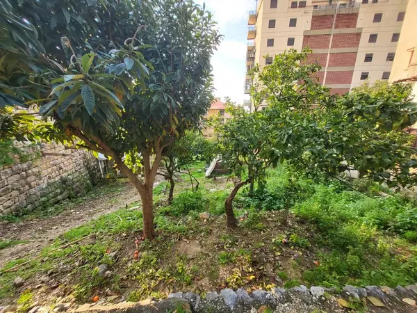 Land for Sale in Sahel Aalma, Lebanon