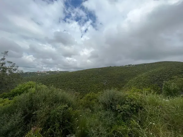 Land for Sale in Habboub