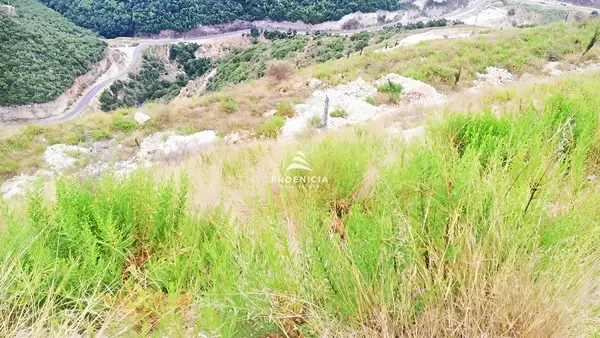 Land for Sale in Edde