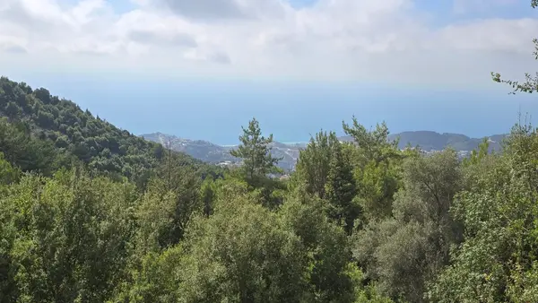 Land for Sale in Jouret el-Termos