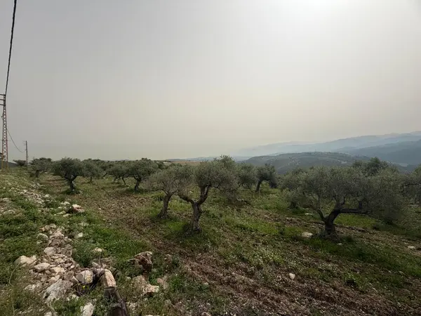 Land for Sale in Batroun