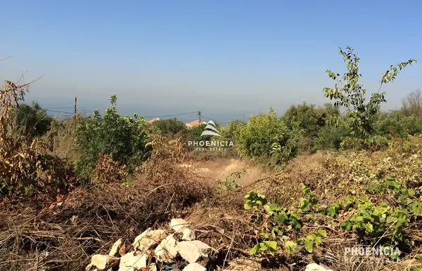 Land for Sale in Edde