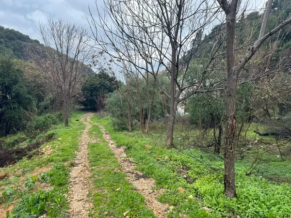 Land for Sale in Chnaneir, Lebanon