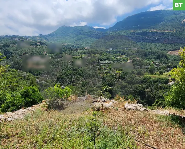 Beautiful Land 100 Olive trees in ADONIS JBEIL