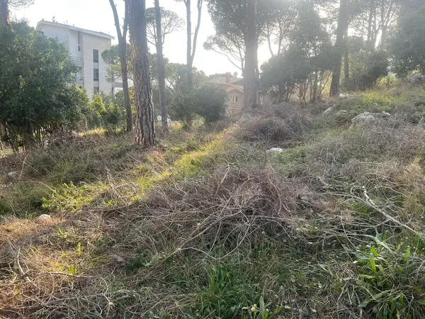 One of the unique lands in Broumana Oyoun!