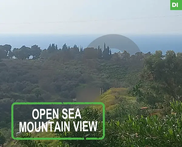 1403 SQM Land for Sale in SAIDA- SHARHABIL