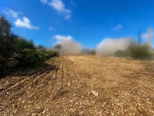 Land for Sale in Batroun
