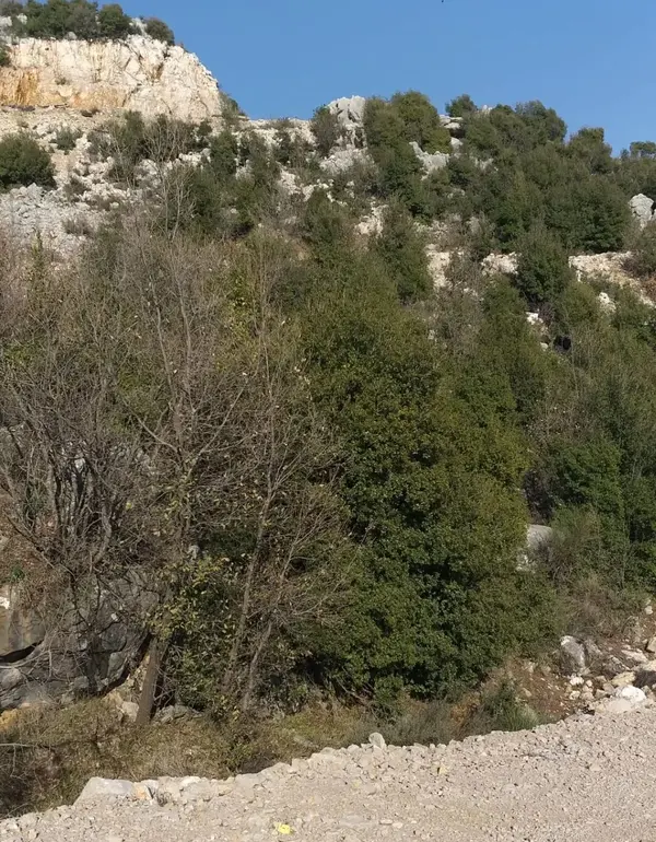 Land for Sale in Faitroun
