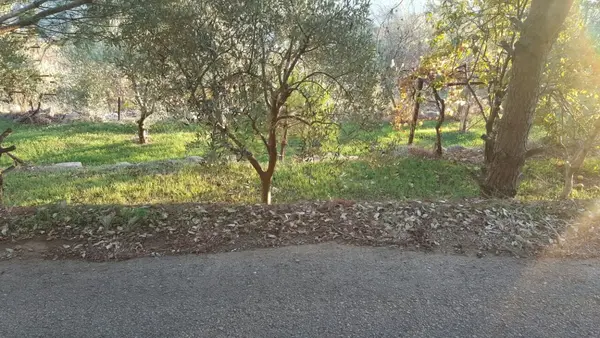 Land for Sale – Zaroun