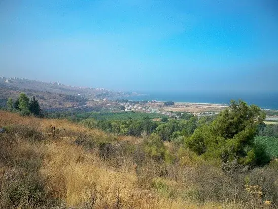 Land for Sale in Damour