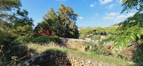 Land for Sale in Batroun, Lebanon
