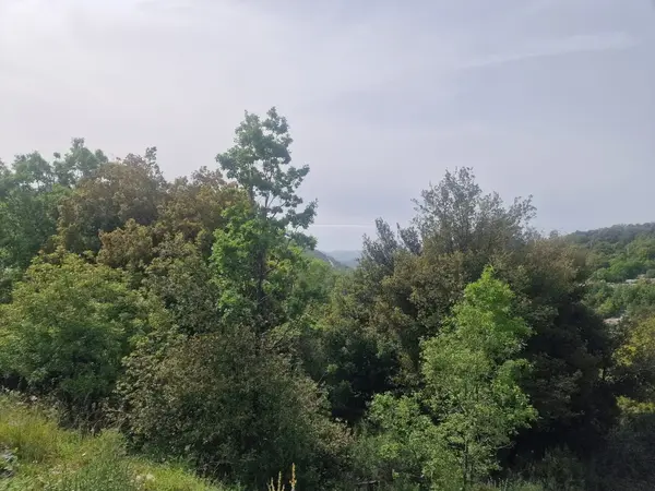 Land for Sale in Lehfed, Lebanon