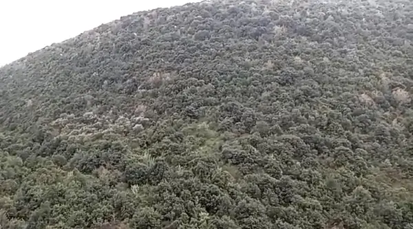 Land for Sale in Sourat, Lebanon