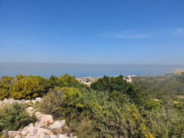 Land for Sale in Kfar Aabida