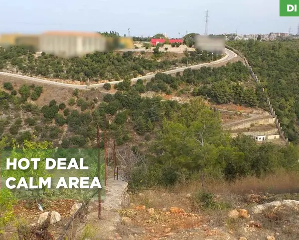 LAND /Dibbiyeh, Chouf /Zoning : 30/60