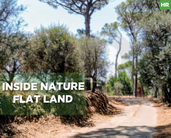 This is a great chance to own a wonderful 810 sqm Land