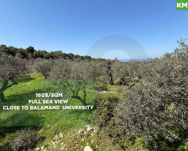 Prime Investment Opportunity, great deal, balamand