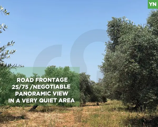 road frontage/panoramic view, in a very quiet area
