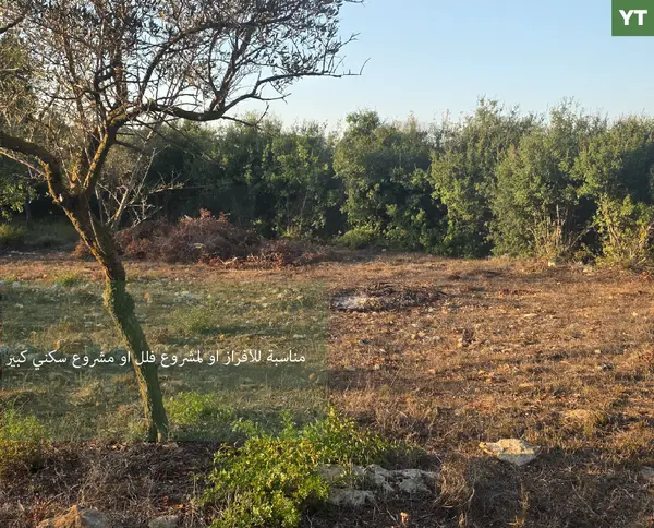 quiet setting/ peaceful atmosphere/Road access /large size/BTERROMINE, KOURA