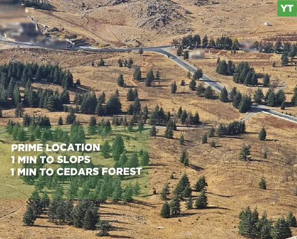 Prime location/excellent accessibility/Located directly on the main road/BECHARRE-ARZ