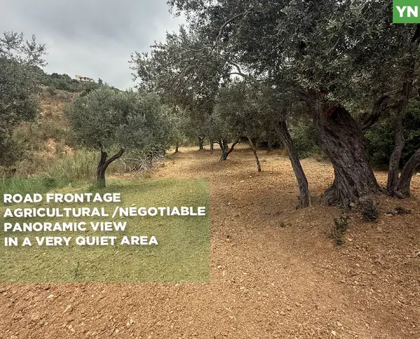 AGRICULTURAL LAND/ panoramic view, in a very quiet area/ZGHARTA,ALMA