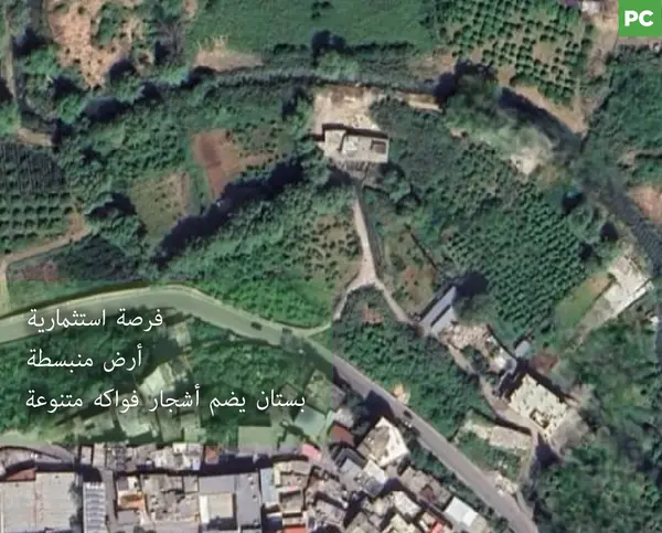 An amazing vast piece of land, zgharta town