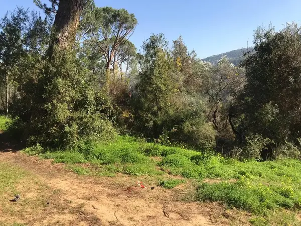 Land for Rent in Beit Mery