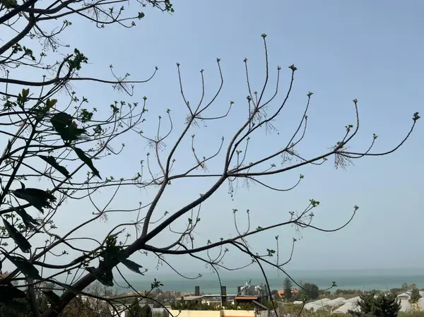 Apartment for Sale in Byblos, Lebanon