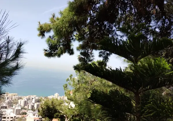 Land for Sale in Sahel Aalma, Lebanon