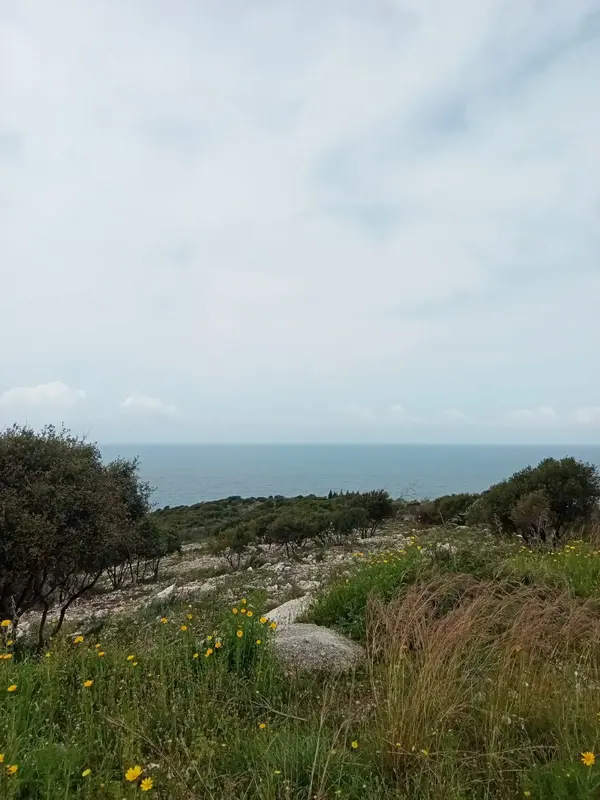Land for Rent in Berbara