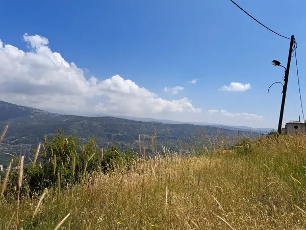 Land for Rent in Zaraoun, Lebanon