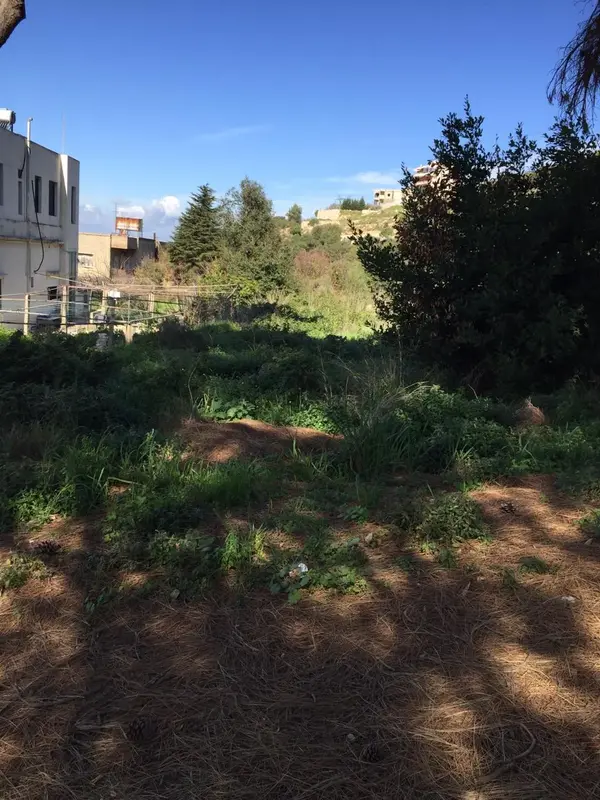 Land for Sale in Kfar Mashoun