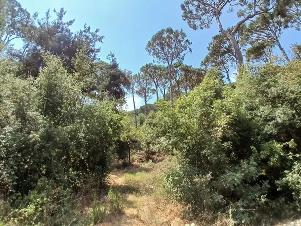 Land for Sale in Mar Chaaya, Lebanon