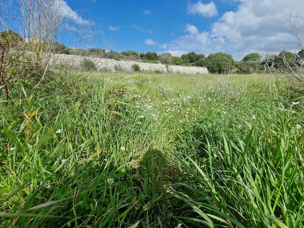 Land for Sale in Smar Jbeil, Lebanon