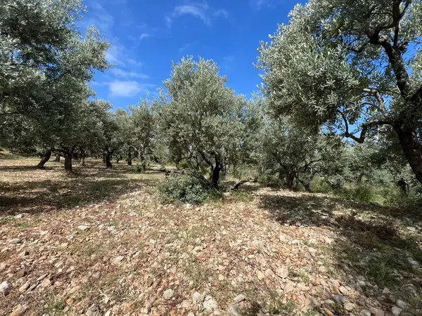 Land for Sale in Madfoun , Lebanon