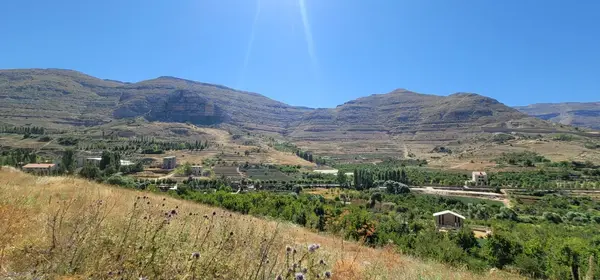Land for Sale in Faraiya, Lebanon