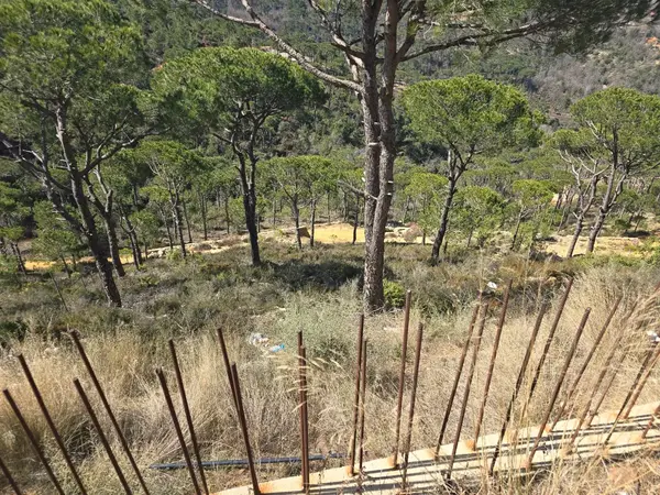 Land for Sale in Choueir, Lebanon