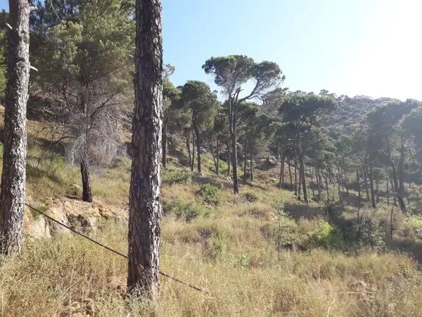 Land for Sale in Choueir, Lebanon