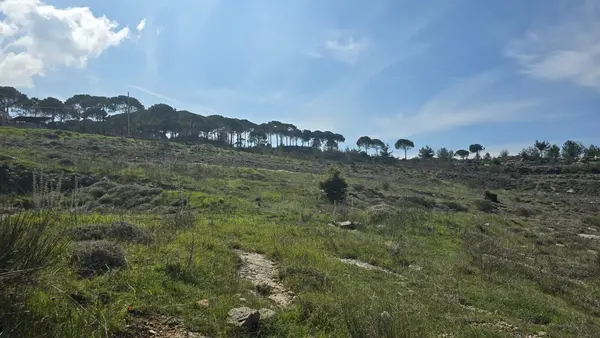 Land for Sale in Bhamdoun, Lebanon