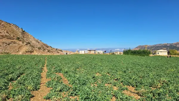 Land for Sale in Zaarour, Lebanon