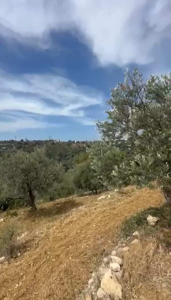 Land for Sale in Bsous, Lebanon